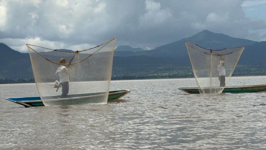 Sigue recuperación del Lago de Pátzcuaro