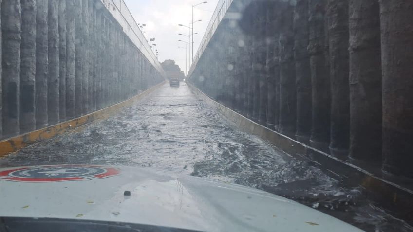 Árboles caídos, autos arrastrados e inundaciones dejan las lluvias en Guadalajara