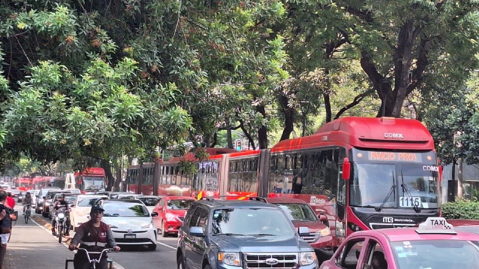 Unidades del transporte público y automóviles particulares se han visto afectadas a causa de los cortes a la circulación.