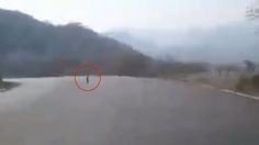 Una extraña, aterradora y diminuta criatura fue captada en VIDEO cuando caminaba en medio de la carretera