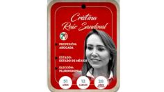 Conoce a Cristina Ruiz Sandoval, la próxima senadora por el PRI