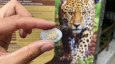 Zoológico de Chapultepec estrena atracción: así puedes llevarte una moneda conmemorativa con tu animal favorito