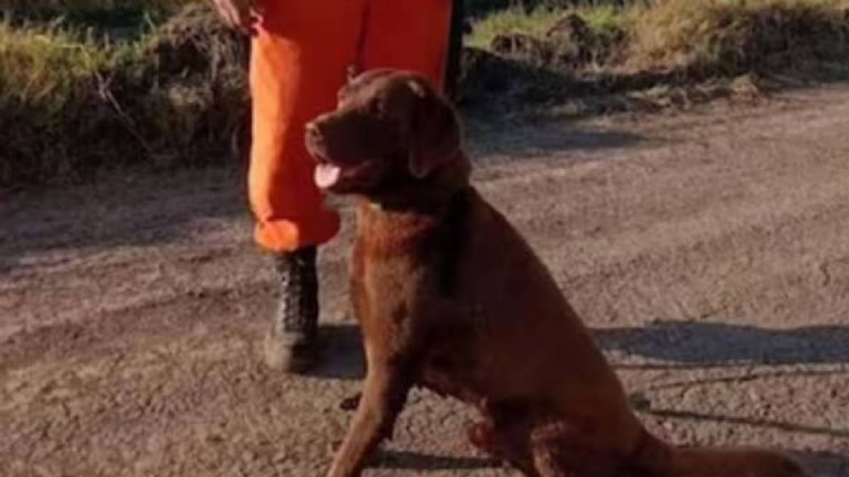 La Policía Científica buscó en la zona que indicaron los papás de Loan.