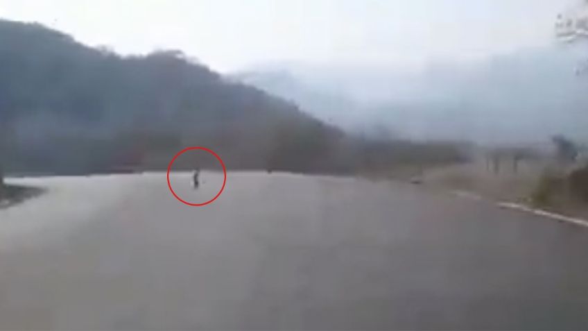 Una extraña, aterradora y diminuta criatura fue captada en VIDEO cuando caminaba en medio de la carretera