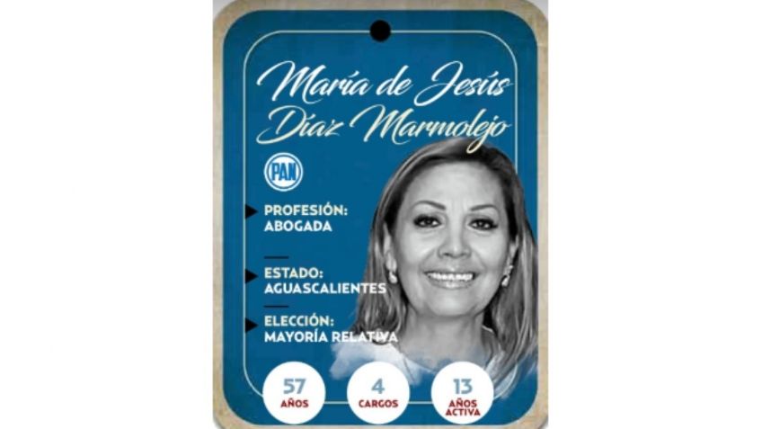 Conoce a María de Jesús Díaz Marmolejo, próxima senadora por el PAN