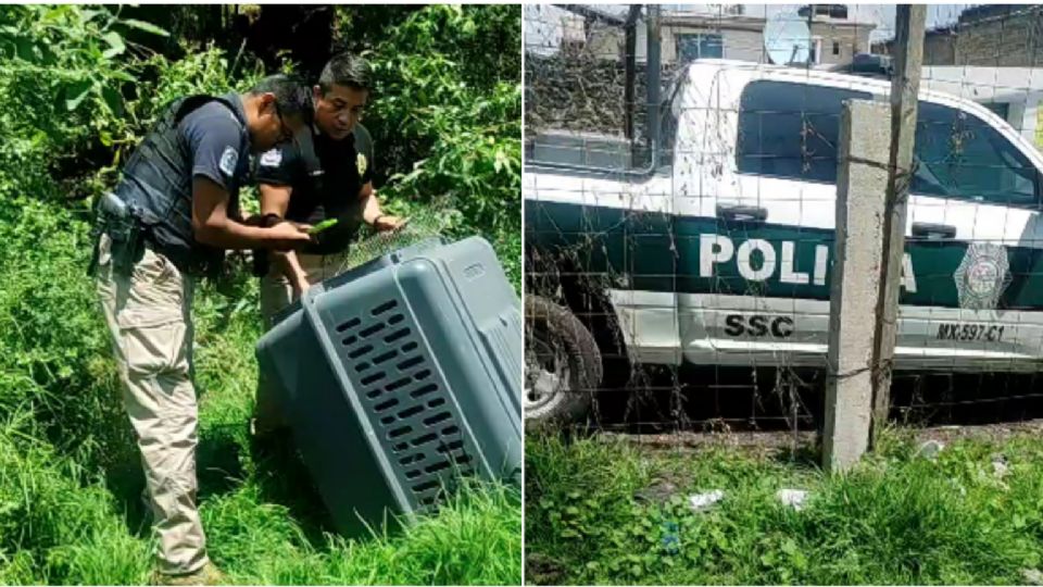 Durante varias horas el canino estuvo en calidad de desaparecido