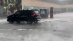 Caída de árboles e inundaciones por fuertes lluvias en Puebla: VIDEOS