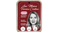 ¿Quién es Ana Miriam Ferráez Centeno, conoce a tu próxima diputada?