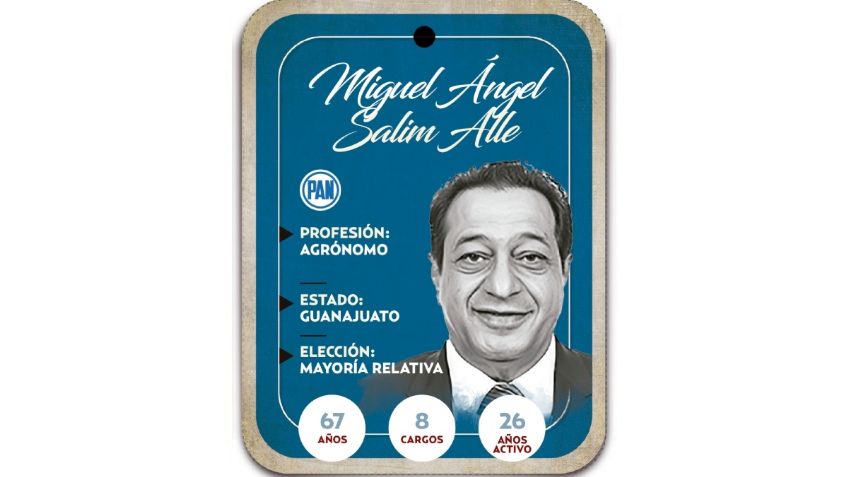 ¿Quién es Miguel Ángel Salim Alle? Diputado por mayoría relativa del PAN