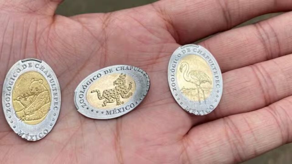 Graba tus monedas con estos animalitos.