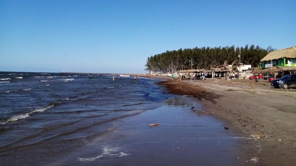 Este estado concentra el mayor número de playas contaminadas que anlizó la Cofepris.