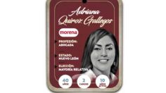 ¿Quién es Adriana Quiroz Gallegos, conoce a la próxima diputada?