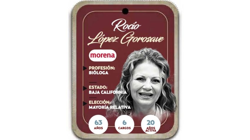 ¿Quién es Rocío López Gorosave? Diputada por mayoría relativa de Morena