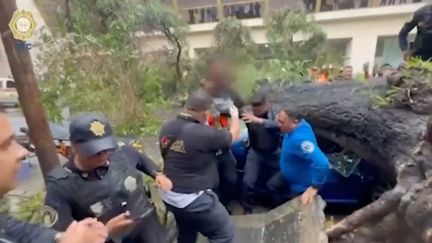 VIDEO: momento exacto del rescate de un bebé luego que el auto de su familia fue aplastado por un árbol