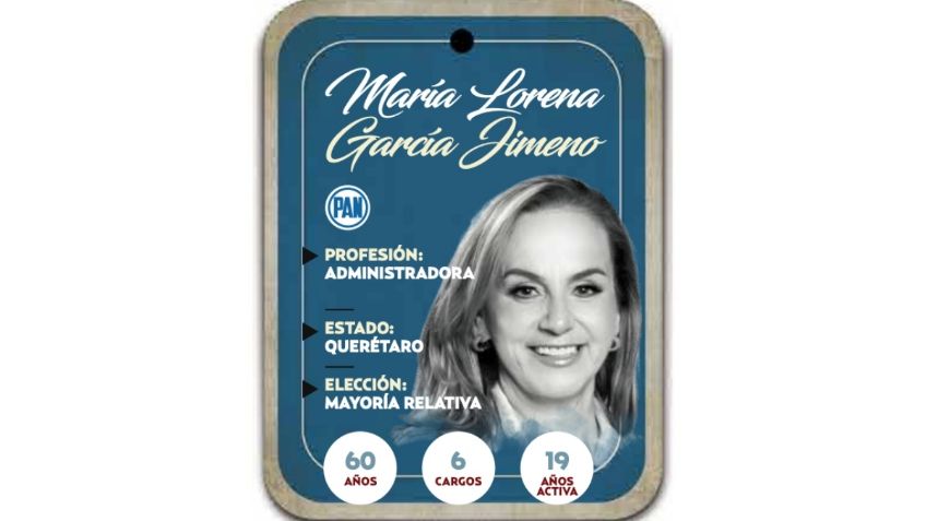 ¿Quién es María Lorena García Jimeno? Diputada por mayoría del PAN