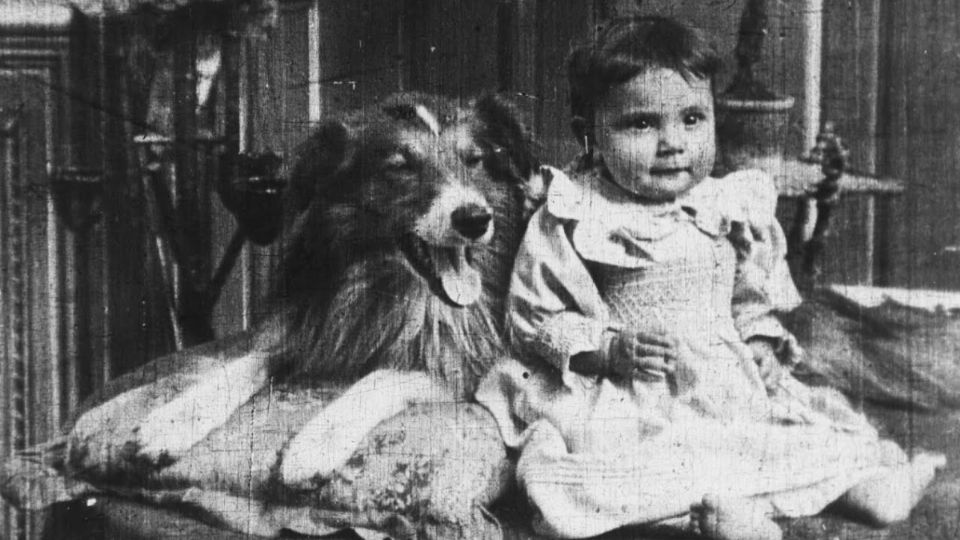 Este simpático perro fue la primera estrella canina de la historia.