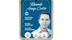 ¿Quién es Ricardo Anaya, conoce al próximo senador?