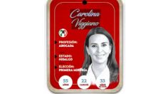 ¿Quién es Carolina Viggiano, conoce a la próxima senadora?