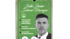 ¿Quién es Julio Javier Scherer Pareyon, diputado federal del PVEM?