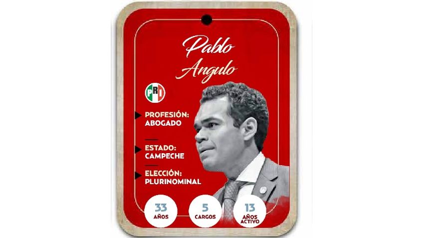 ¿Quién es Pablo Angulo? Senador Plurinominal del PRI