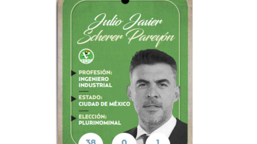 ¿Quién es Julio Javier Scherer Pareyon, diputado federal del PVEM?