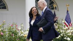 Renuncia de Joe Biden: así es como los demócratas elegirán a su reemplazo en la carrera presidencial