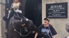 VIDEO: mujer se desmaya tras ser mordida por un caballo de la Guardia Real