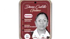 ¿Quién es Diana Castillo Gabino? Diputada por Mayoría Relativa de Morena