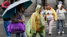 Clima en México: ¿en qué estados lloverá hoy 14 de agosto? |  MAPA