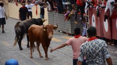 Capea de toros deja tres lesionados en Veracruz