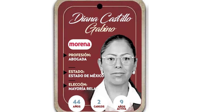 ¿Quién es Diana Castillo Gabino? Diputada por Mayoría Relativa de Morena