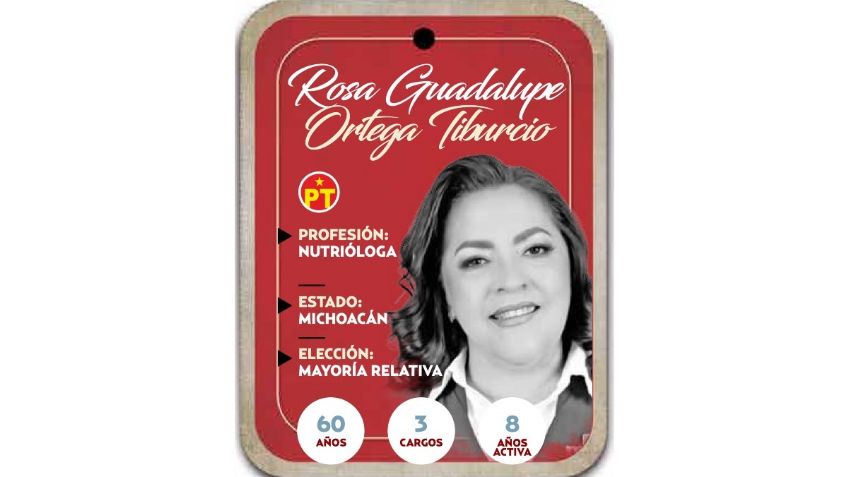 ¿Quién es Rosa Guadalupe Ortega? Diputada por Mayoría Relativa del PT