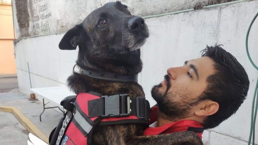 ¡Gracias por todo! Muere Marshall, el perrito héroe de la Cruz Roja que colaboró en el S17 y el huracán Otis