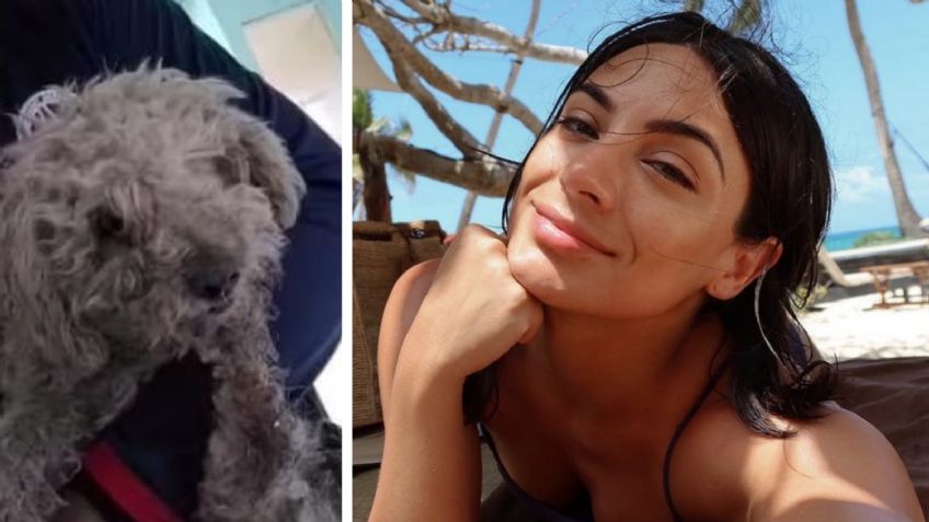 Ana Brenda Contreras comparte la conmovedora historia del perrito viejito que rescató: “Merece sus últimos años llenos de amor”