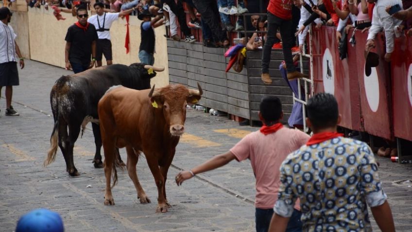 Capea de toros deja tres lesionados en Veracruz