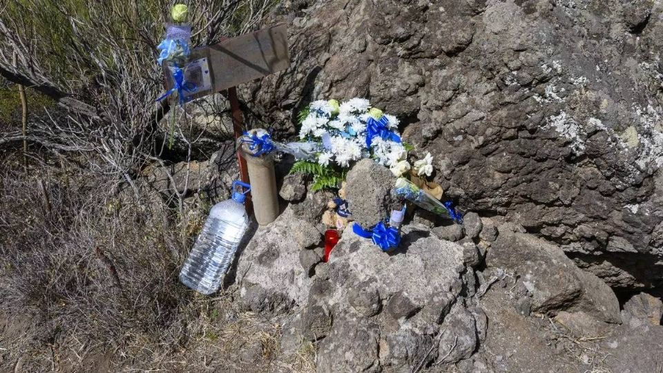 El joven que presuntamente fue víctima de un cactus fue hallado sin vida hace días.