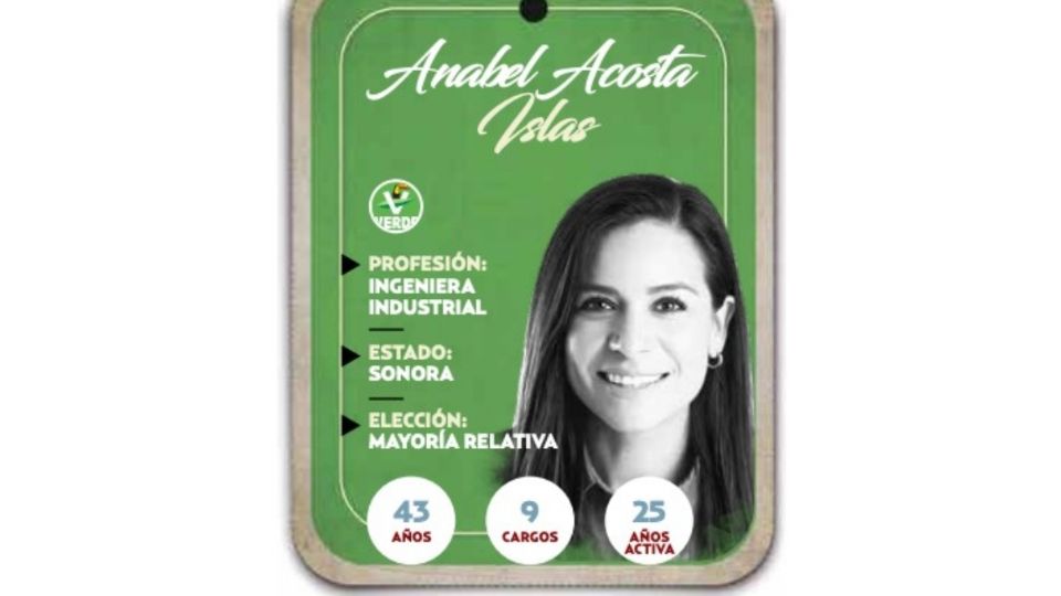 Anabel Acosta Islas será diputada por el Partido Ecologista de México en la LXVI Legislatura.