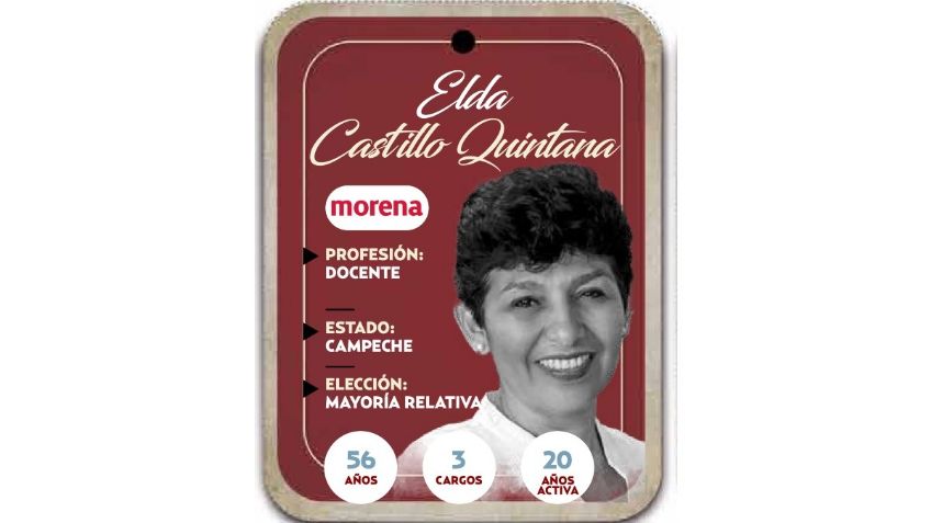 ¿Quién es Elda Castillo Quintana? Diputada por Mayoría Relativa de Morena