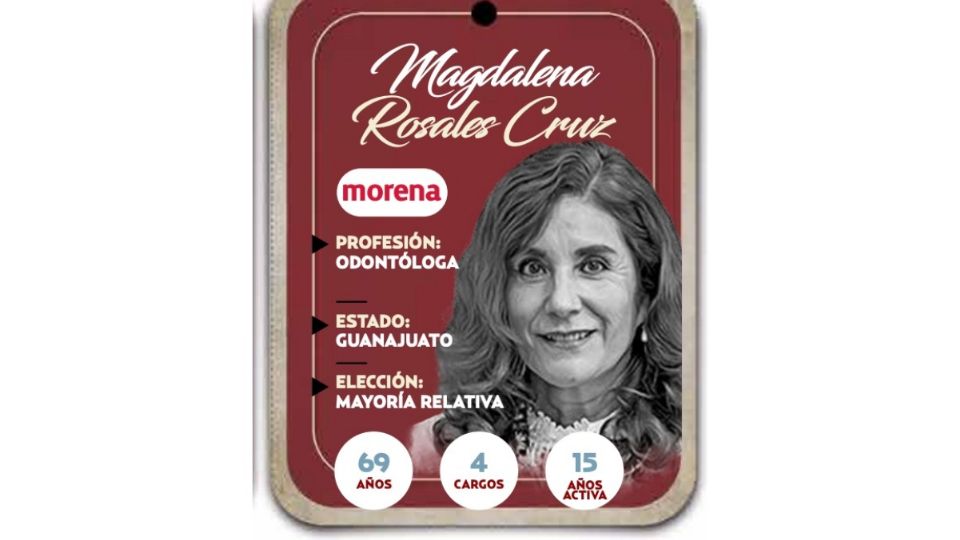 Magdalena Rosales Cruz será diputada por el partido Morena en la LXVI Legislatura.