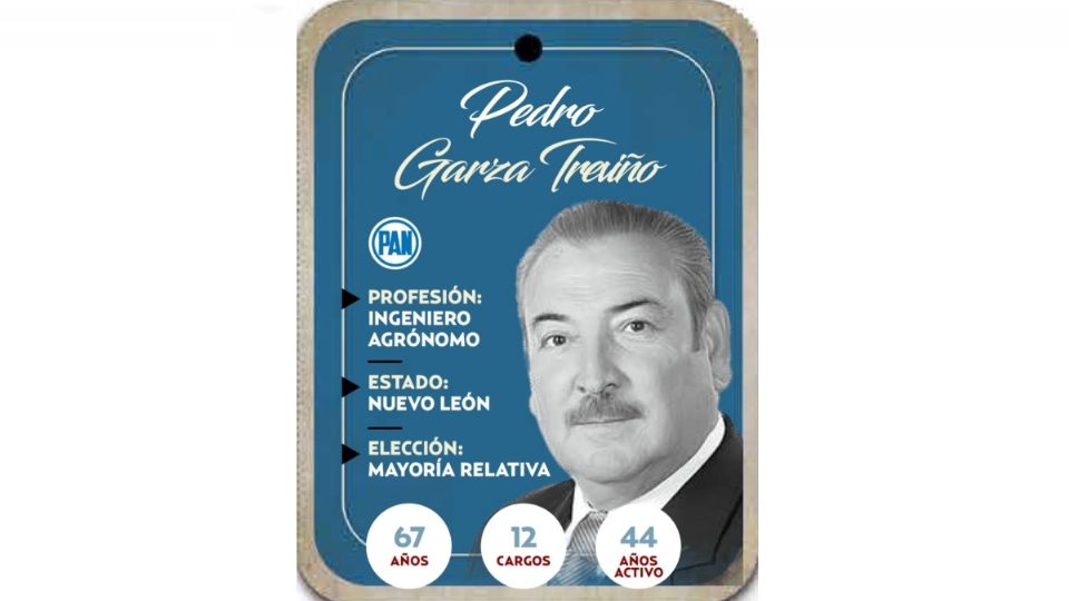 Pedro Garza Treviño es diputado electo de Nuevo León por el PAN.