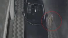 Una figura muy extraña fue captada en VIDEO, ¿es un ente paranormal?