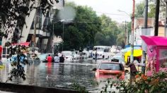 Árbol cae y destruye pequeña vivienda junto a puente peatonal en Naucalpan