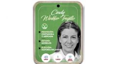 ¿Quién es Cindy Winkler Trujillo? Diputada por Mayoría Relativa del PVEM