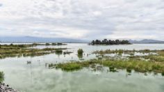 Así luce el Parque Ecológico Lago de Texcoco a pocas semanas de su inauguración: VIDEO