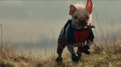 Conoce a Peggy, la perrita que todo el mundo está amando en Deadpool & Wolverine