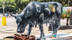 ¿Cómo llegar al Cow Parade en el transporte público de la CDMX?