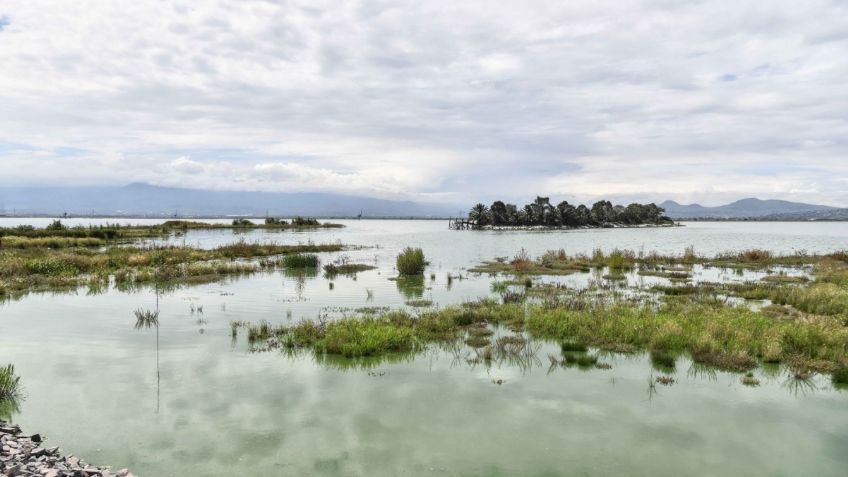 Así luce el Parque Ecológico Lago de Texcoco a pocas semanas de su inauguración: VIDEO