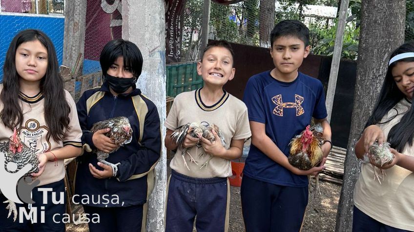 Una Granja Escolar Transforma la Educación en Hidalgo