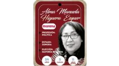 ¿Quién es Alma Manuela Higuera Esquer? Diputada por mayoría relativa de Morena 