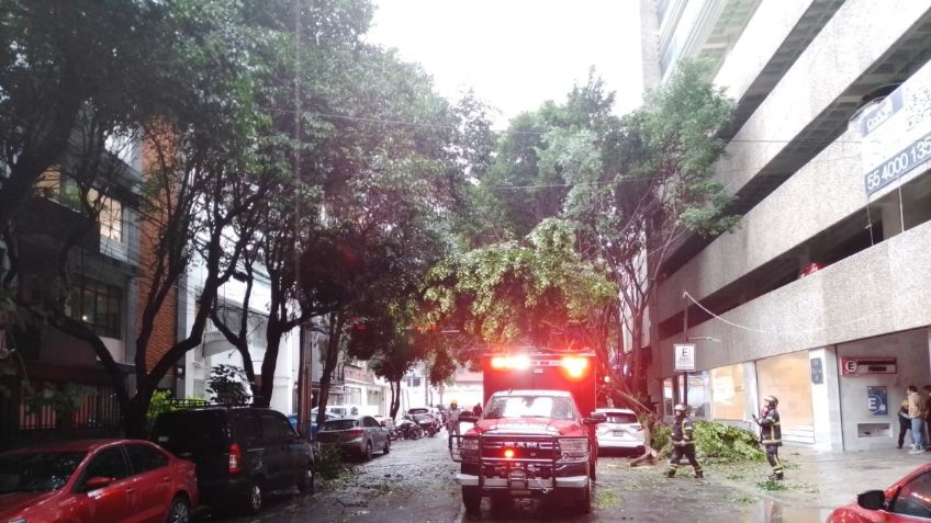 Reportan afectaciones en cinco alcaldías por las lluvias